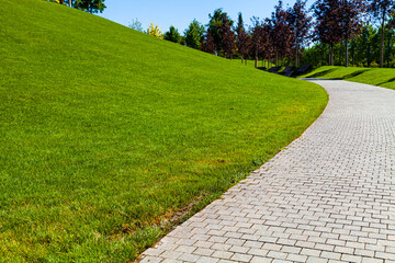 Park in the summer. Walkway and green lawn