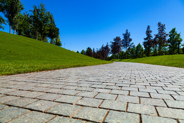 Park in the summer. Walkway and green lawn