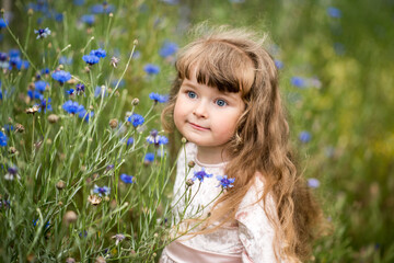 Beautiful little girl with long curly hair in the spring in a field of cornflowers. Spring flowers in the field. The child is happy