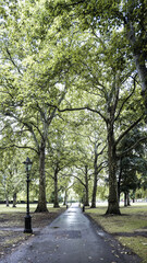 Fototapeta premium Pedestrian promenade park