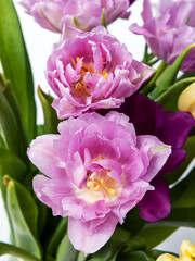 Bouquet of lilac tulips. Close-up. Macro.
