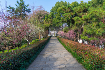 Spring scenery of Yellow Crane Tower Park in Wuhan, Hubei