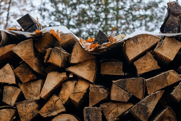 Cut and stacked tree trunks. Wood for fireplace