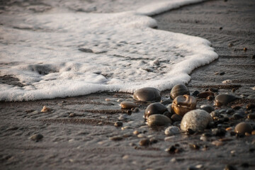 Sea shore with stones and foam, pebble seascape. 