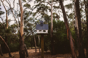 bird house in the forest