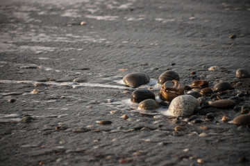 Sea shore with stones and foam, pebble seascape. 
