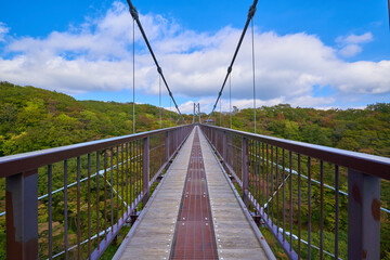 栃木県那須高原の秋のつつじ吊り橋