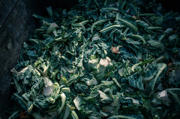 Food waste