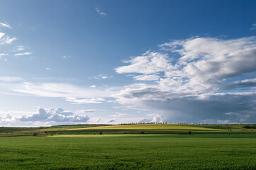 Wonderful rural area of Eastern Ukraine in spring.  Beautiful view of green fields in spotty light under big cloud sky. Agricultural fields stretch to the horizon.