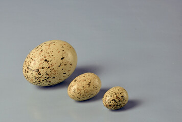 Three various Easter eggs.