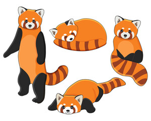 Red panda set, cute fluffy wild animals in different poses. Vector illustration on a white background © Alina
