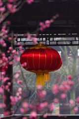 Plum blossoms in spring in Yellow Crane Tower Park, Wuhan, Hubei