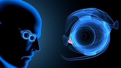 3d illustration of human body eye intersection anatomy.
