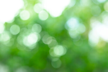 Naklejka na ściany i meble Blurred and abstract light bokeh background in the morning