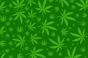 Cannabis leaves on green background
