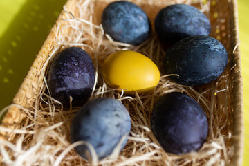 Basket with painted easter eggs on yellow background. Happy easter 2021.
