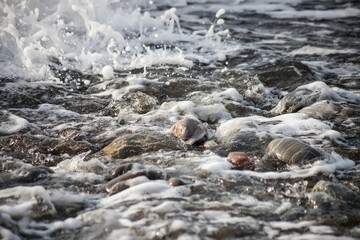 Sea shore with stones and foam, pebble seascape. 