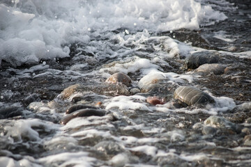 Sea shore with stones and foam, pebble seascape. 