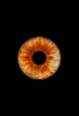 Poster Im Rahmen Close up of a brown eye iris on black background, macro, photography © MT-R