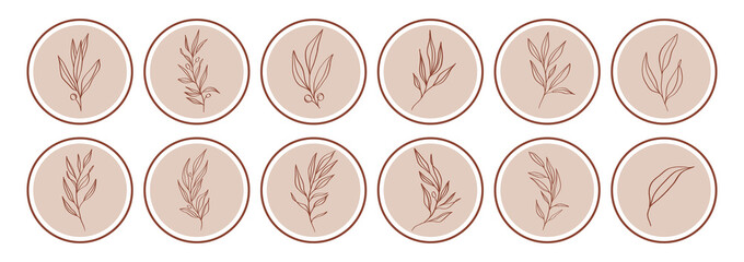 Vector highlight story cover icons for instagram, social media. Abstract minimal circle backgrounds with nature leaves.
