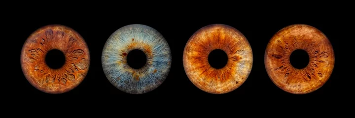 Zelfklevend Fotobehang Close up van oog iris op zwarte achtergrond, macro, fotografie © MT-R