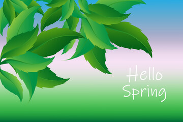 Abstract background with green decorative leaves, hello spring text