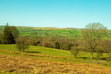 landscape in region country