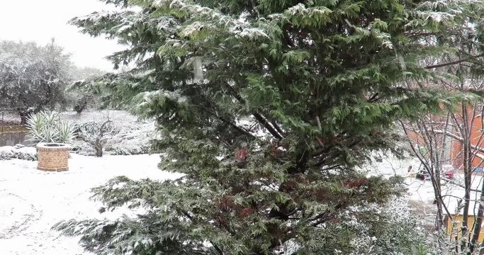 Nevicata