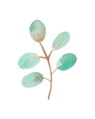 Watercolor leaf (branch with leaves) for decorative use of patterns, wedding and spring themes.	
