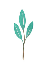 Watercolor leaf (branch with leaves) for decorative use of patterns, wedding and spring themes.	
