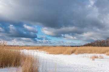 Frozen Wetlands and Lake on a Cold Winter Day in Latvia
