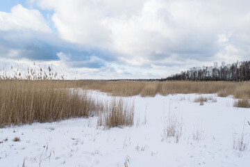 Frozen Wetlands and Lake on a Cold Winter Day in Latvia