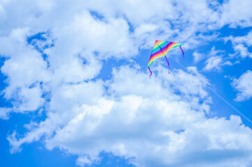 kite flying in the sky. Freedom