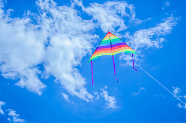 kite flying in the sky. Freedom