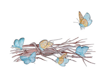 Watercolor postcard with butterflies and branches.