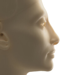 Bust of Nefertiti ivory coloured face of Egyptian lady women goddess 