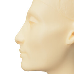 Bust of Nefertiti ivory coloured face of Egyptian lady women goddess 