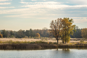 autumn landscape with lake