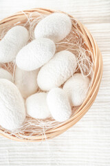 Fototapeta na wymiar white silkworm cocoons shells, source of silk fabric
