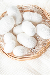 white silkworm cocoons shells, source of silk fabric