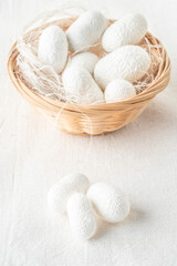 white silkworm cocoons shells, source of silk fabric
