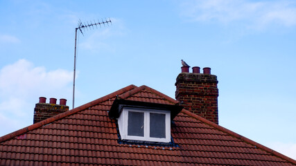 Roof of a house with a bird on the chimney and blue sky