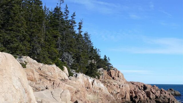 Rocky coastline in Acadia with blue sky in Summer