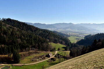 Blick auf das Attental bei Freiburg