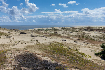Sand dunes on the Curonian Spit