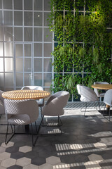 The interior of a cozy cafe with a green wall of plants. Beautiful shadows on the floor and on the table. Sunny day.