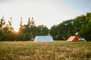 tent setup in forest during sunset