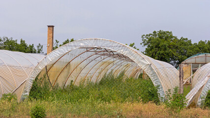 Plastic Green House Arch