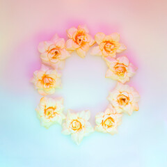 Frame with pale pink roses on holographic background. Light romantic floral design
