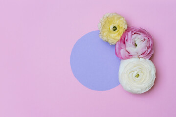 Flowers and purple circle on the pink background. Copyspace background.